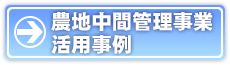 農地中間管理事業を活用した優良事例