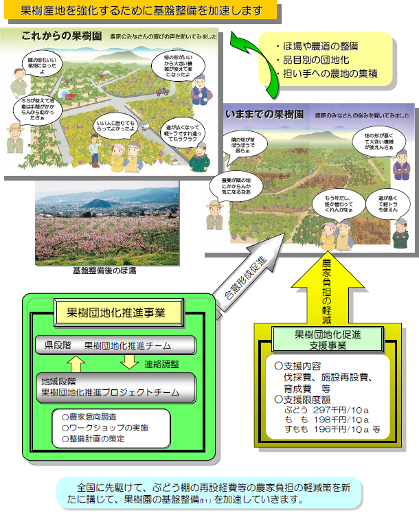 果樹産地を強化するために基盤整備を加速します 果樹産地を強化するために基盤整備を加速します