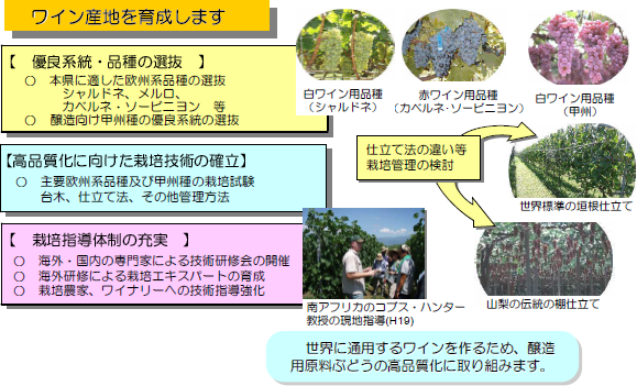 ワイン産地を育成します ワイン産地を育成します