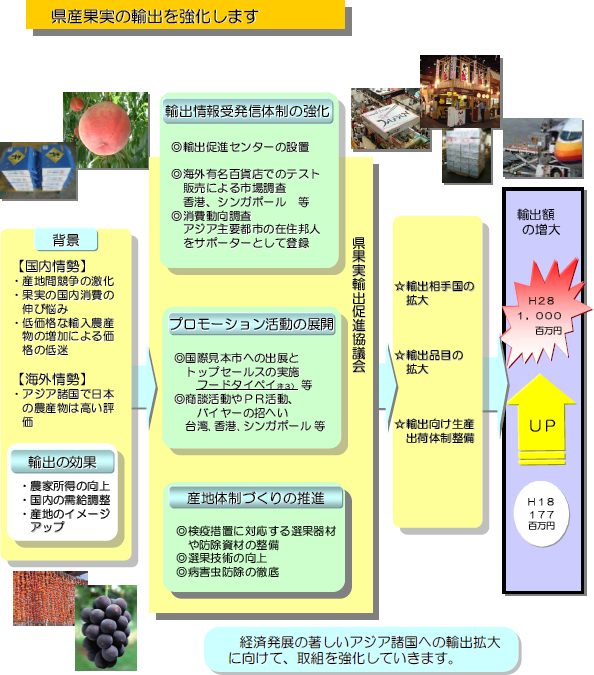 県産果実の輸出を強化します 県産果実の輸出を強化します