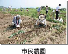 市民農園 市民農園