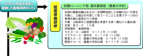 つくりたい作目が決まり、 連続の農家研修がしたい つくりたい作目が決まり、 連続の農家研修がしたい