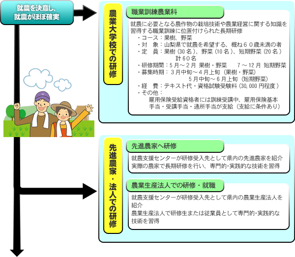 就農を決意し、 就農がほぼ確実 就農を決意し、 就農がほぼ確実