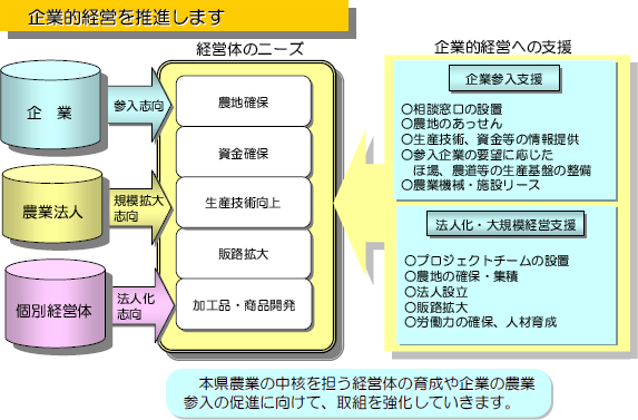 企業的経営を推進します